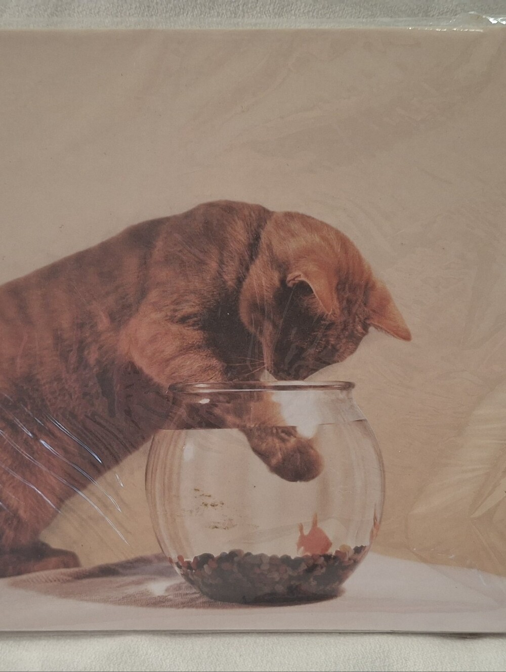 NWT Memo Mouse Pad Cat Looking Into Glodfish Bowl Whimsical Cottagecore